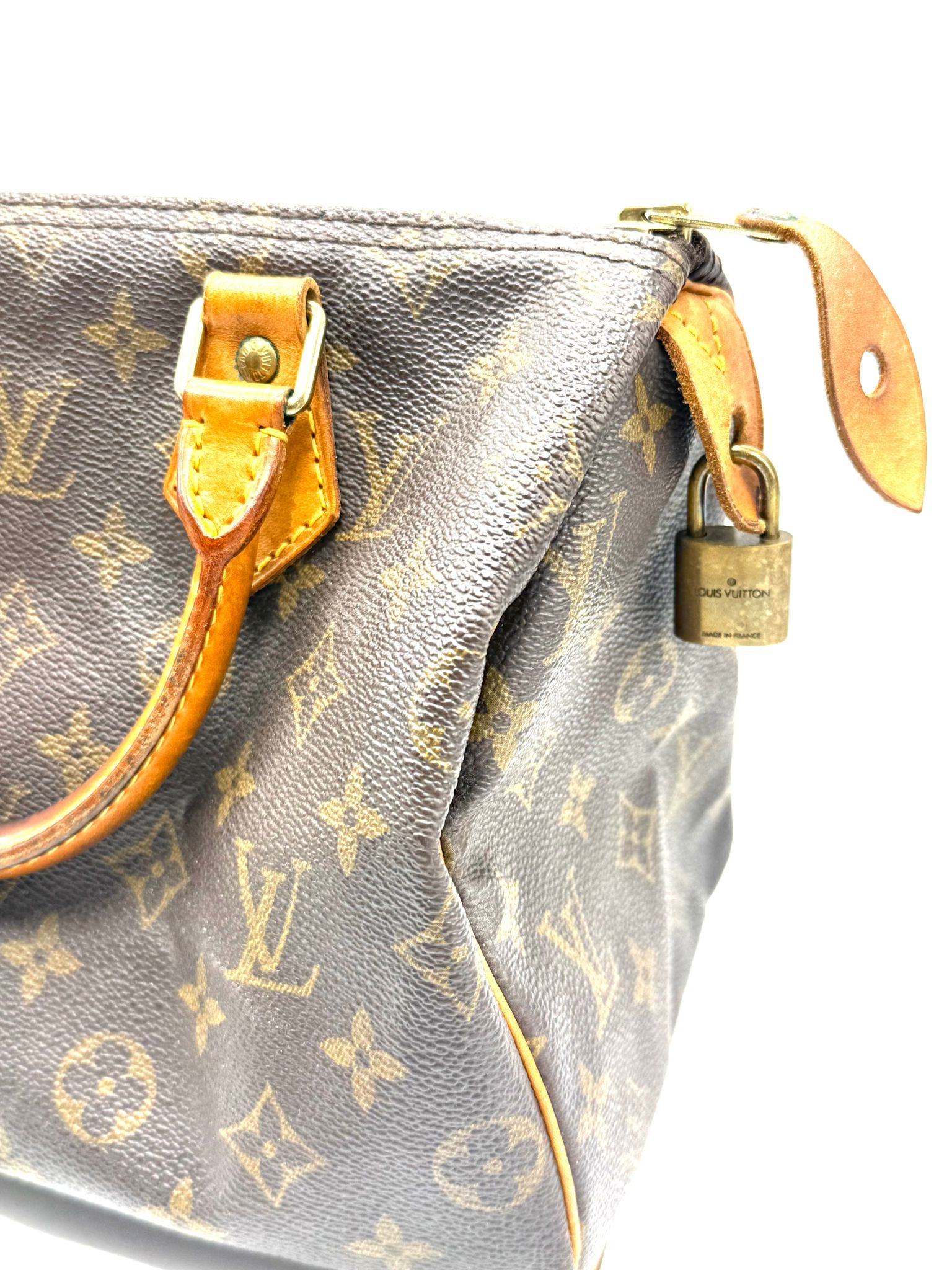 Speedy 25 Monogram Canvas