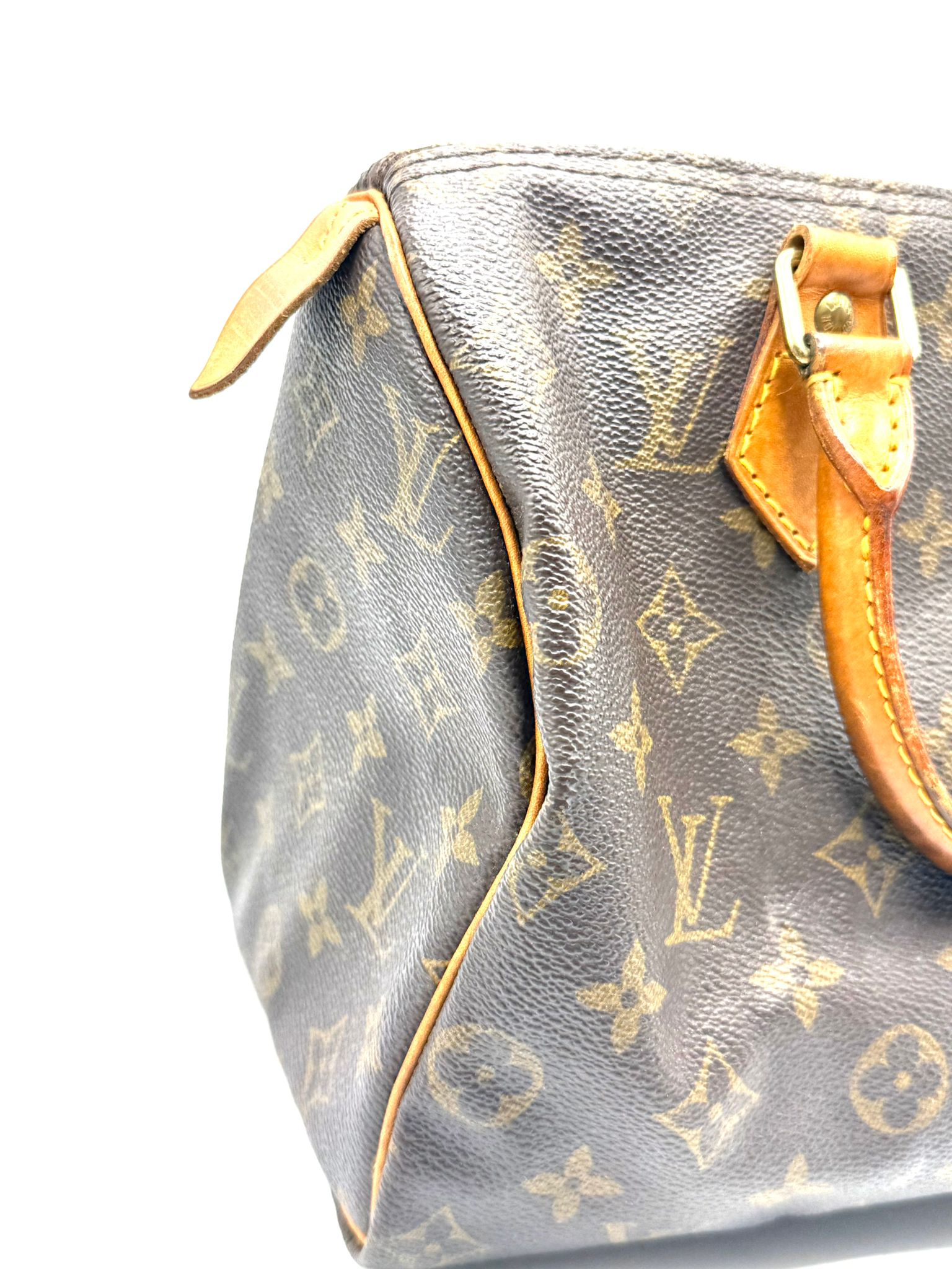 Speedy 25 Monogram Canvas