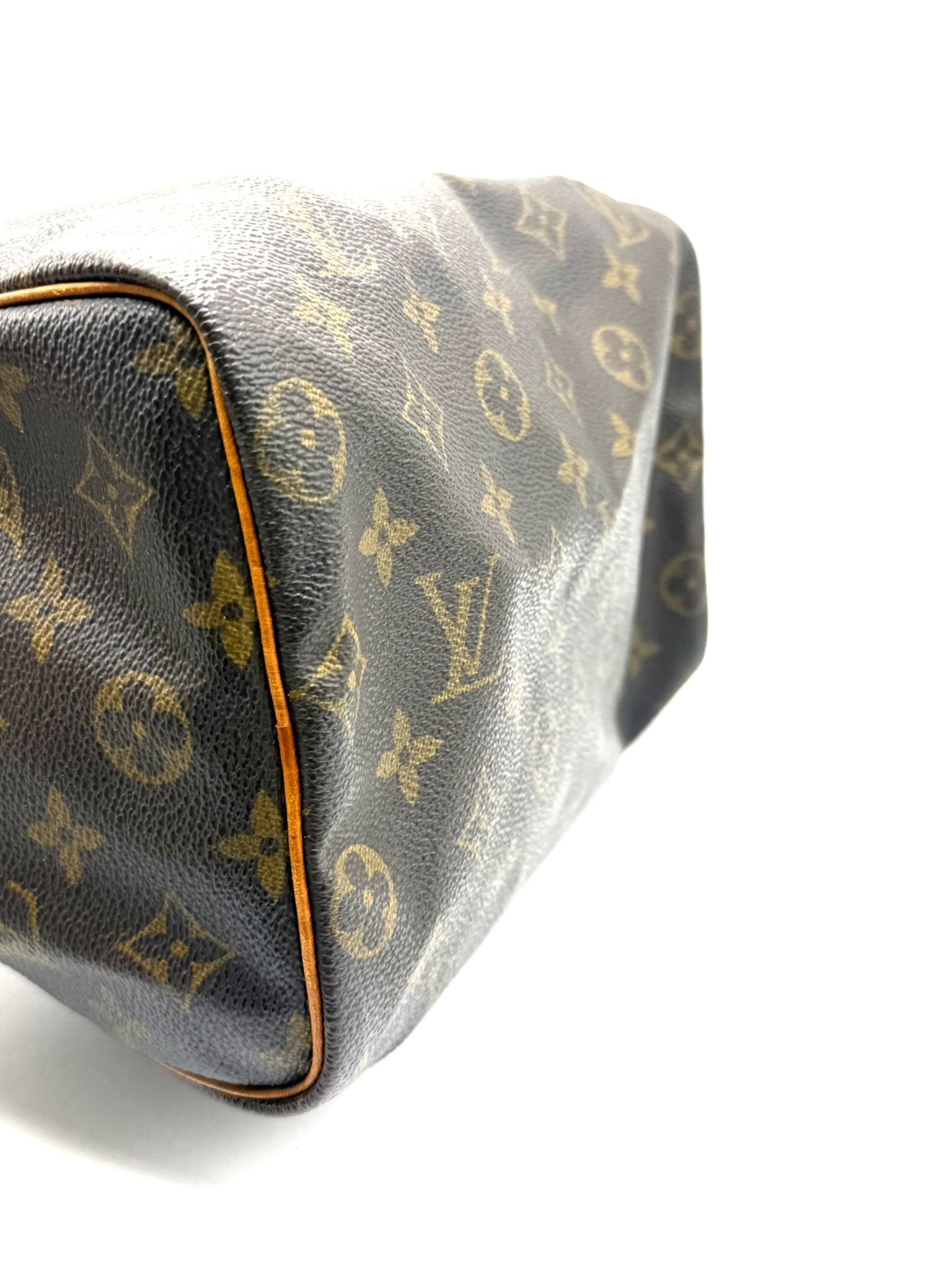 Speedy 25 Monogram Canvas