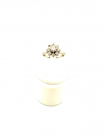 Gioielli e orologi |  |