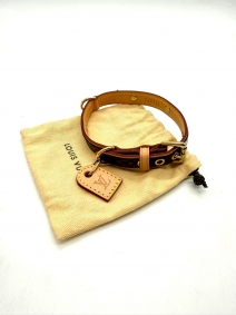 Accessori |  | collare per animali