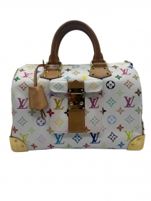Borse di marca |  | Speedy 30 Multicolor