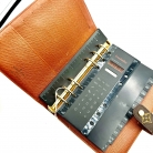 Louis Vuitton diary