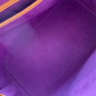 Louis Vuitton epi Alma