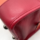 Amazona 36 di Loewe