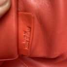 Amazona 36 di Loewe