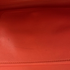 Amazona 36 di Loewe