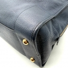 Amazona 36 Loewe