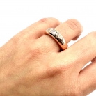 anillo dodo