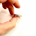 anillo dodo
