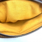 Bandolera Louis Vuitton Camera Box