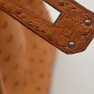 Birkin 35 avestruz