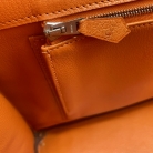 Birkin 35 avestruz