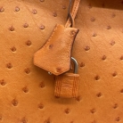 Birkin 35 avestruz