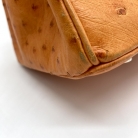 Birkin 35 avestruz