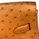 Birkin 35 avestruz