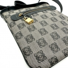 Borsa a tracolla Loewe