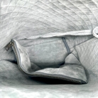 Bottega Veneta bag