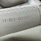 borsa dior beige