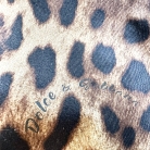 Dolce & Gabbana bag