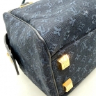 Louis Vuitton Josephine bag