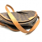 Bolso Louis Vuitton