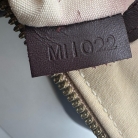 Bolso Louis Vuitton