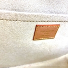 Bolso Louis Vuitton