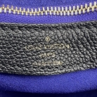 Louis Vuitton purse Diane PM Monogram Empreinte