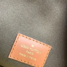 Louis Vuitton Loop Hobo grande