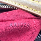 Louis Vuitton Viva-Citè Monogram Bag