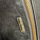 Miu Miu bag
