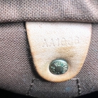 Bolso Speedy 25 Louis Vuitton