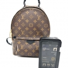 ZAINO LOUIS VUITTON PALM SPRINGS MONOGRAM