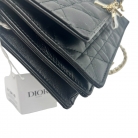 My Dior Mini