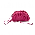 Bottega Veneta Pouch.