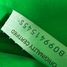 Bottega Veneta Pouch bag in the iconic Bottega green color