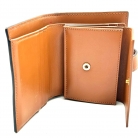 cartera celine