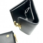 cartera Celine