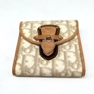 Cartera Dior