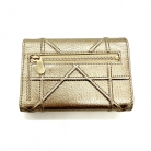 Cartera Dior