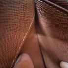 portafoglio monogram Louis Vuitton