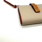 cartera multicolor Loewe