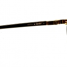 cartier santos