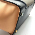 celine luggage