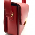 celine triomph