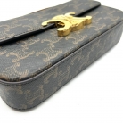 Celine Triomphe canvas