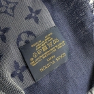 chal Louis Vuitton