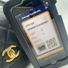 Chanel Business Affinity