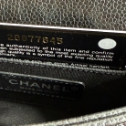 Chanel Timeless Mini Flap Bag